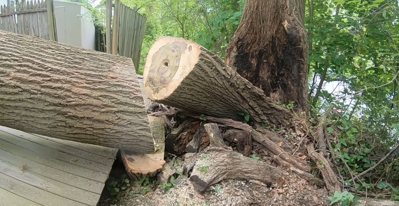 Storm cleanup and debris removal service in Camarillo