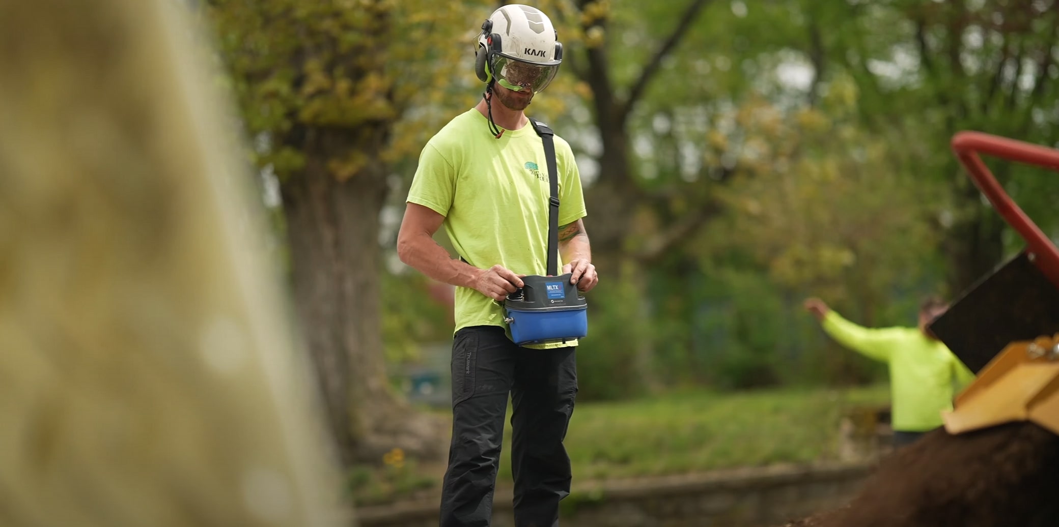 Tree cabling and bracing service for structural support