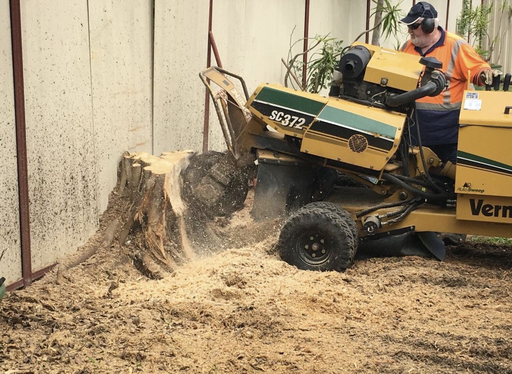 Stump grinding and removal service in Camarillo residential area